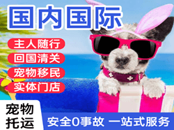 舟山机场空运国际宠物托运 【国